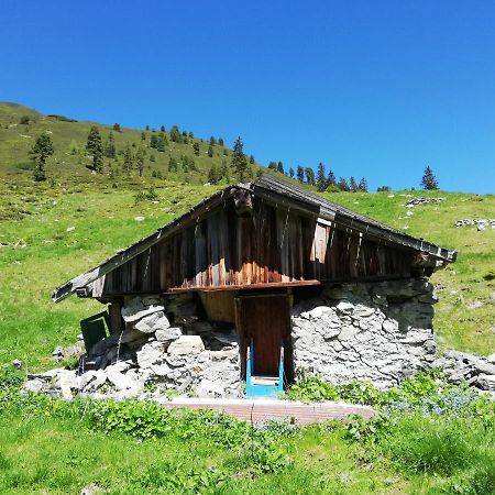 Appartment Moser Alpbach Esterno foto