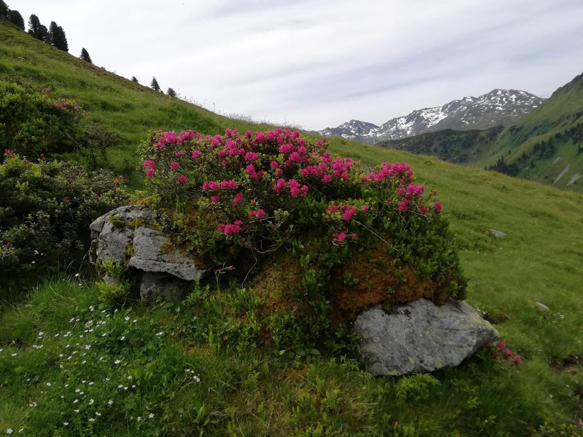 Appartment Moser Alpbach Esterno foto