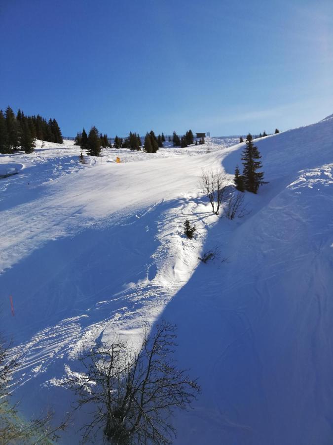 Appartment Moser Alpbach Esterno foto